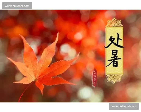 处暑时节万物渐收秋意渐浓人间迎来最温柔的季节转折点