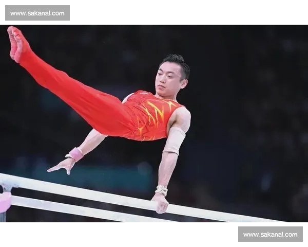 打破纪录！XX选手刷新历史，体操界新标杆